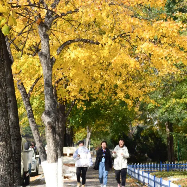 亚军球队的训练方案如何帮助你快速提升篮球技能_1